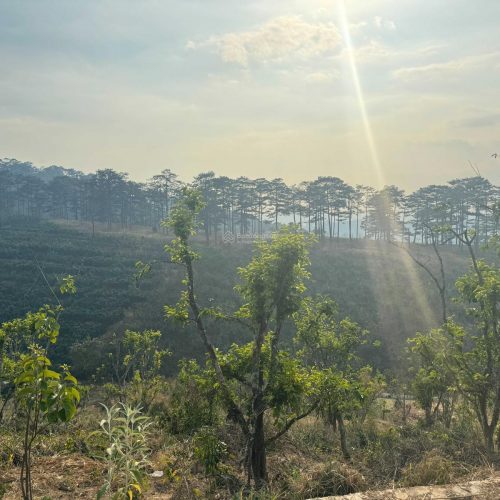 Mảnh đất mơ ước - chờ đón nhà đầu tư thông thái