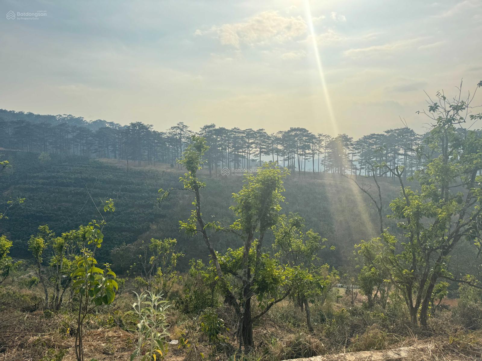 Mảnh đất mơ ước - chờ đón nhà đầu tư thông thái